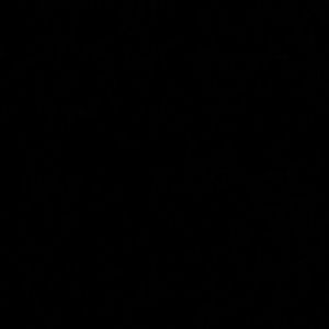 Meet your Posher, Cina